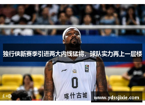 独行侠新赛季引进两大内线猛将,球队实力再上一层楼