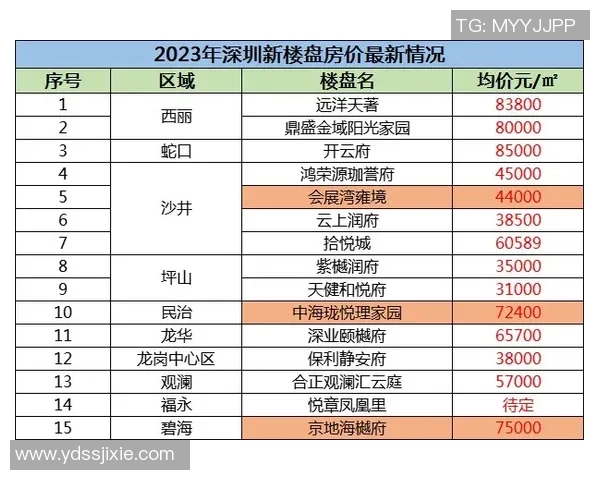 深圳网球队以88分稳居联赛积分榜首位争冠形势一片大好