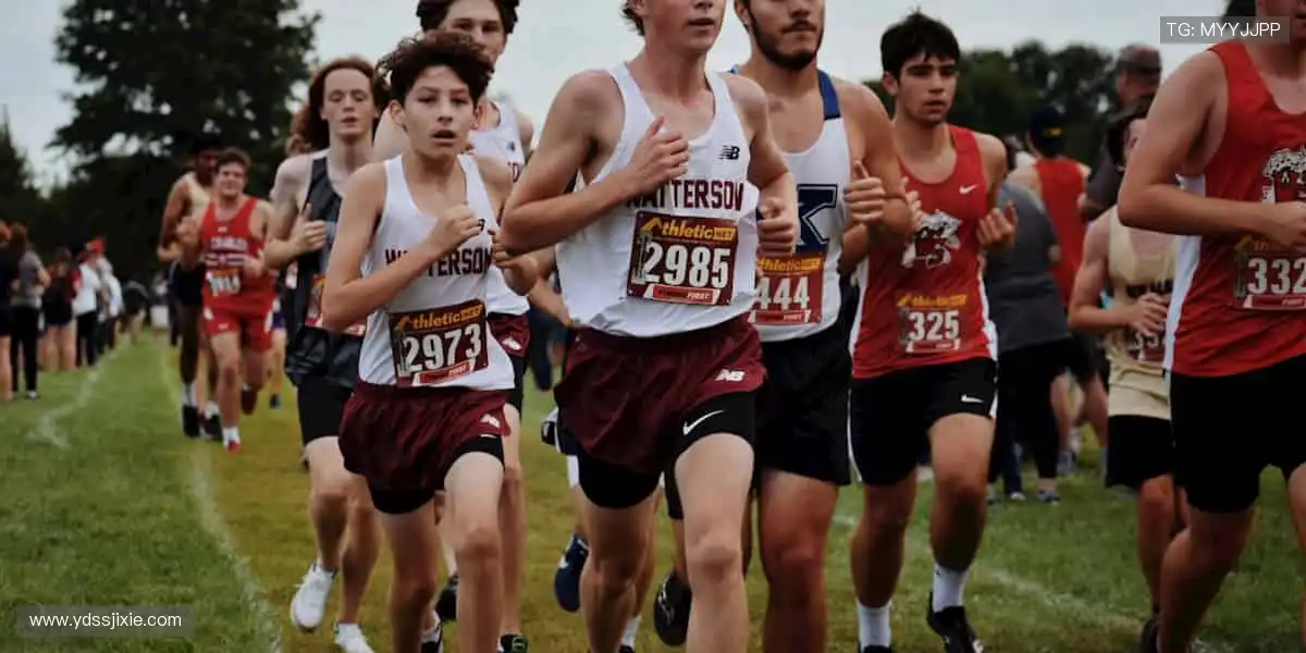 一键开启，赛事秒达，高清直播永不掉线！📺🚀